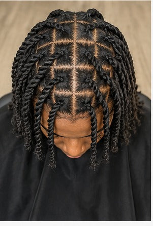 Two Strand Twists
